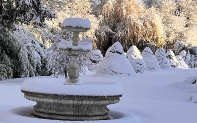 Un gîte en Charente-Maritime sous la neige :