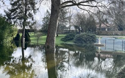 Les pieds dans l’eau à Port d’Envaux